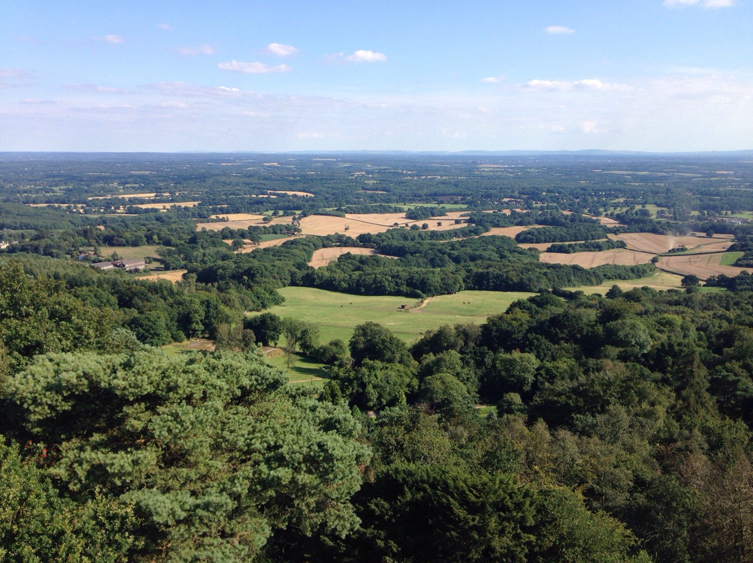 Leith Hill景点图片