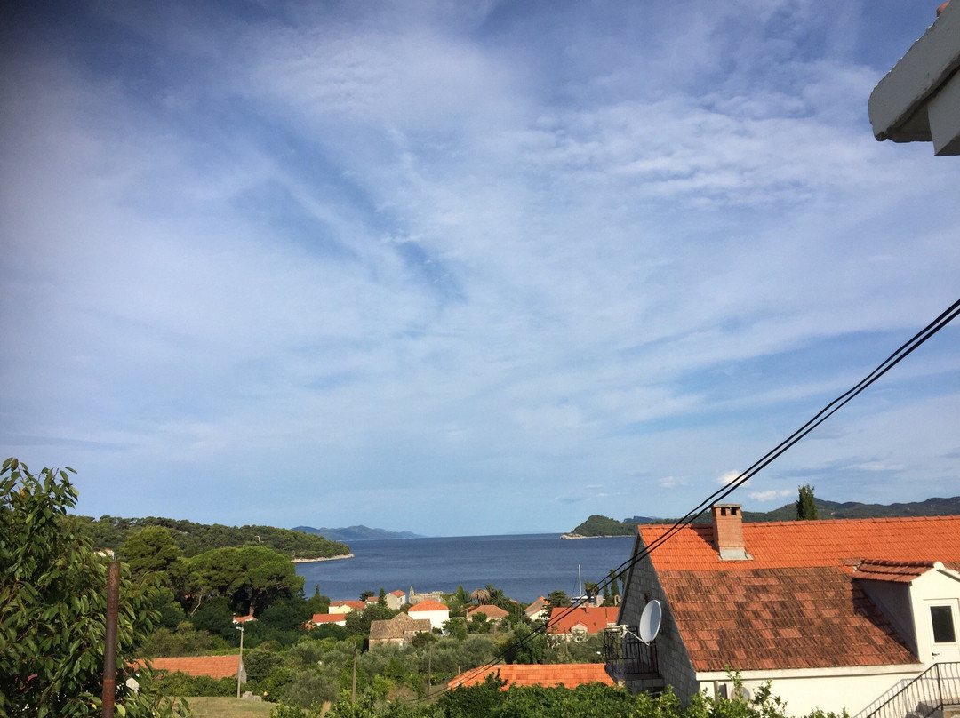 Guesthouse Storelli