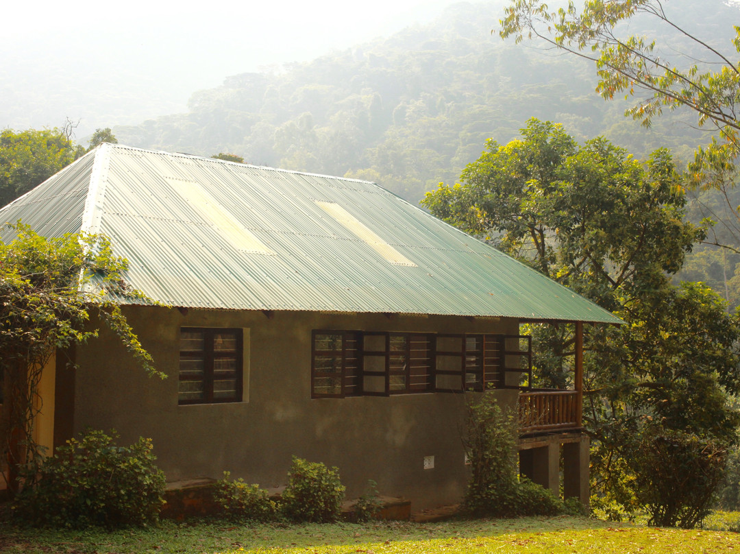 Bwindi Guest House
