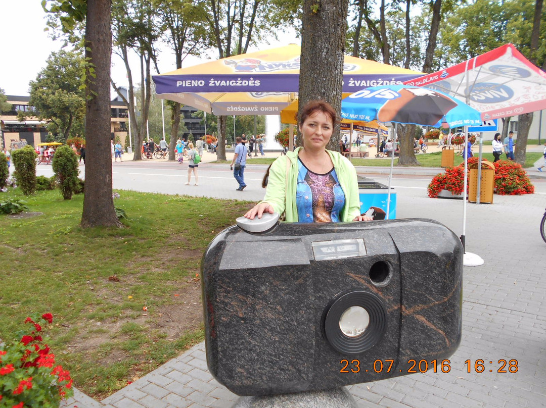 Sculpture Camera-Soapbox-帕兰加必去景点