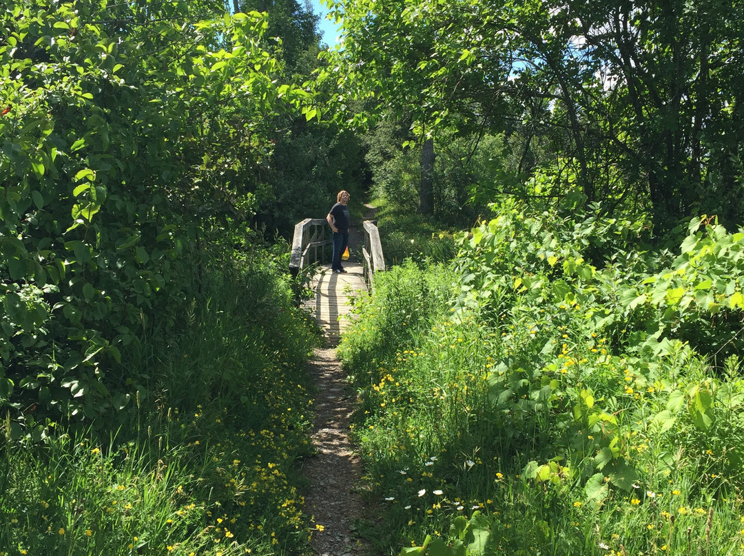 Miller Creek Wildlife Area景点图片