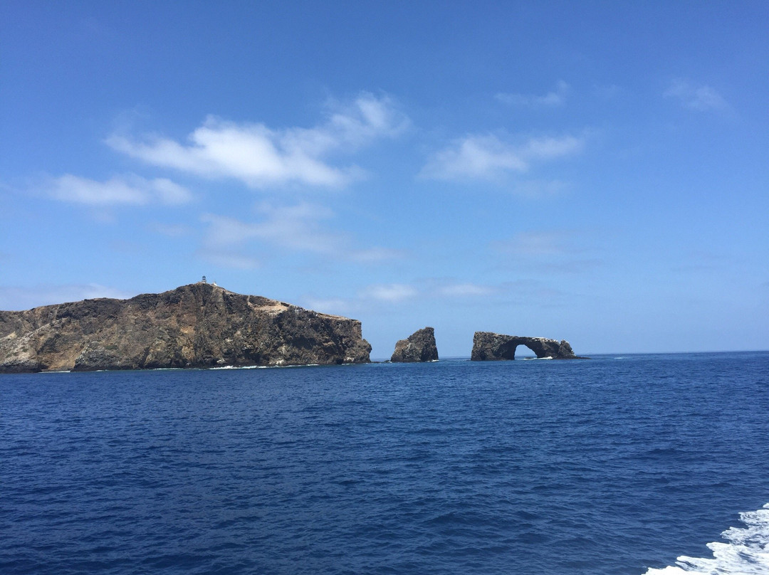 Whale Watching At H&m Landing-奥克斯纳德必去景点