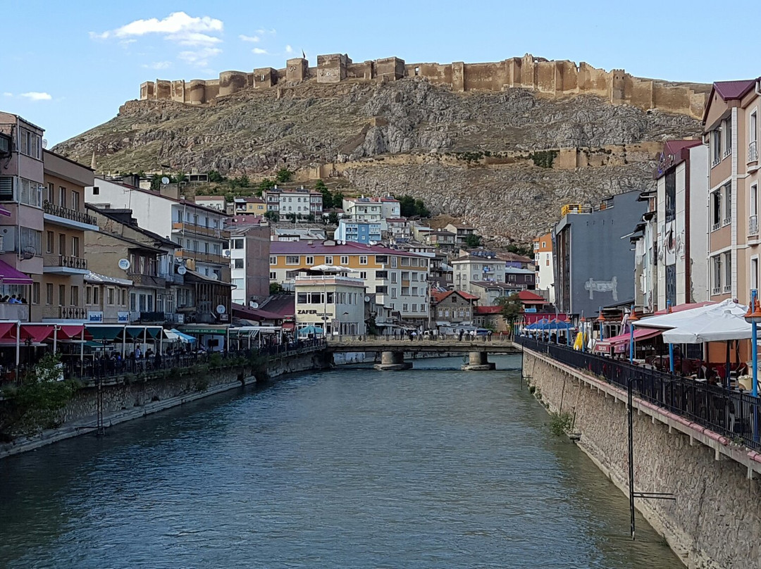 Tercan餐馆和美食-Bayburt Lokantasi