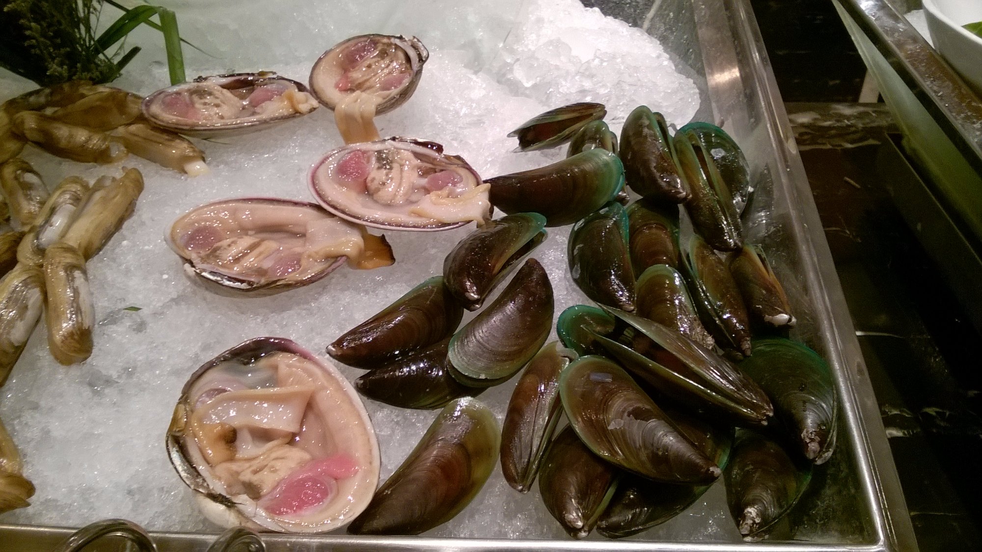 绿岛国际酒店 -餐饮