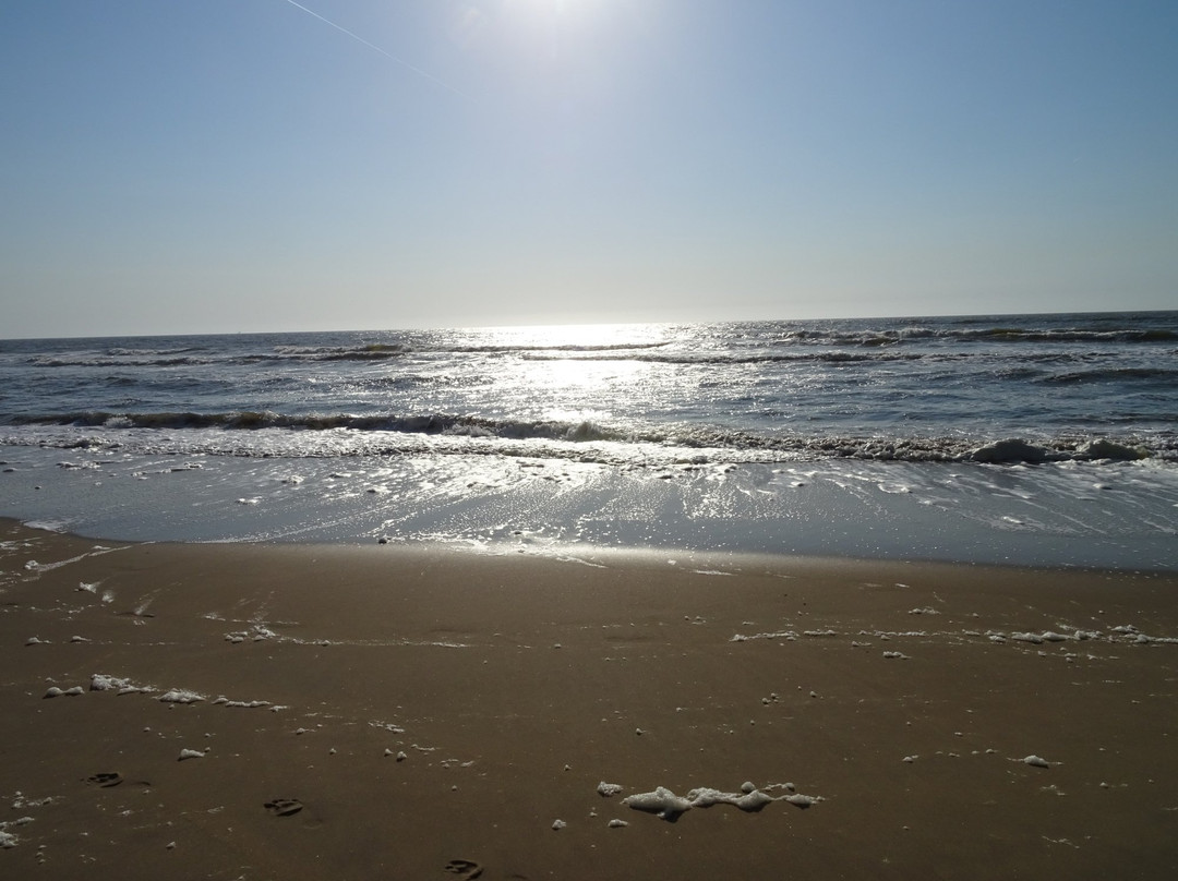 Strand Heemskerk景点图片