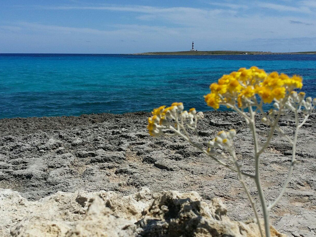 Barcelo Pueblo Menorca Water Park-Punta Prima必去景点