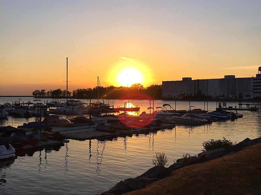 NFTA Small Boat Harbor Marina景点图片