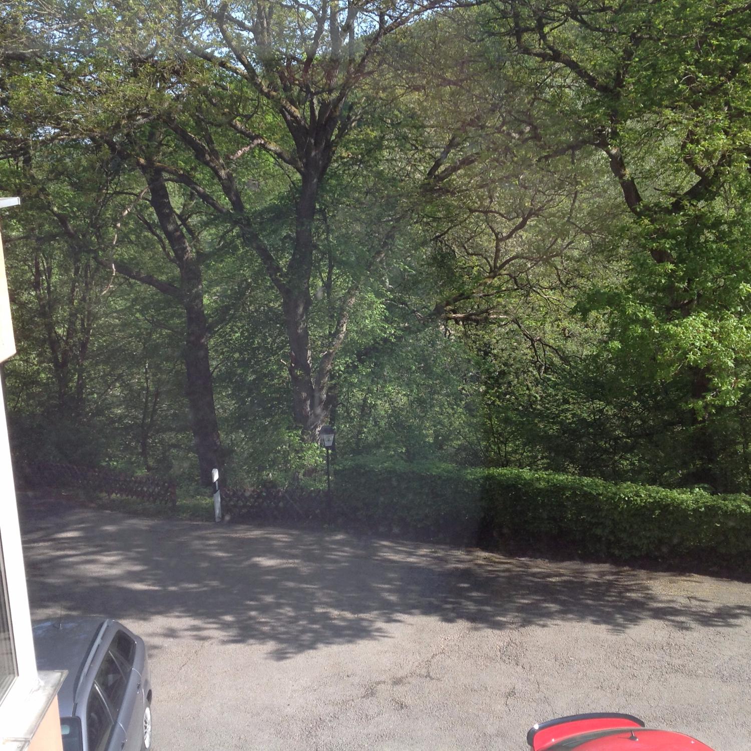 Waldhotel Bad Munstereifel-酒店景观