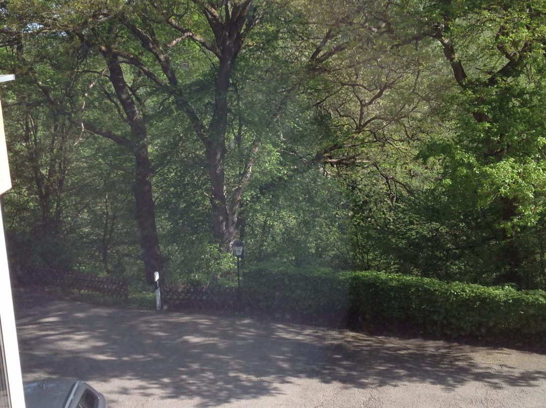 Waldhotel Bad Munstereifel主图