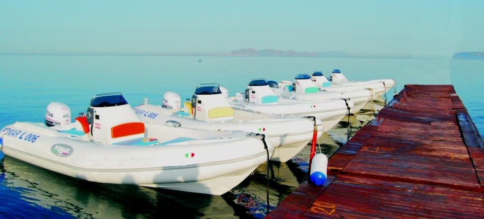 Pomar - Boat Rentals