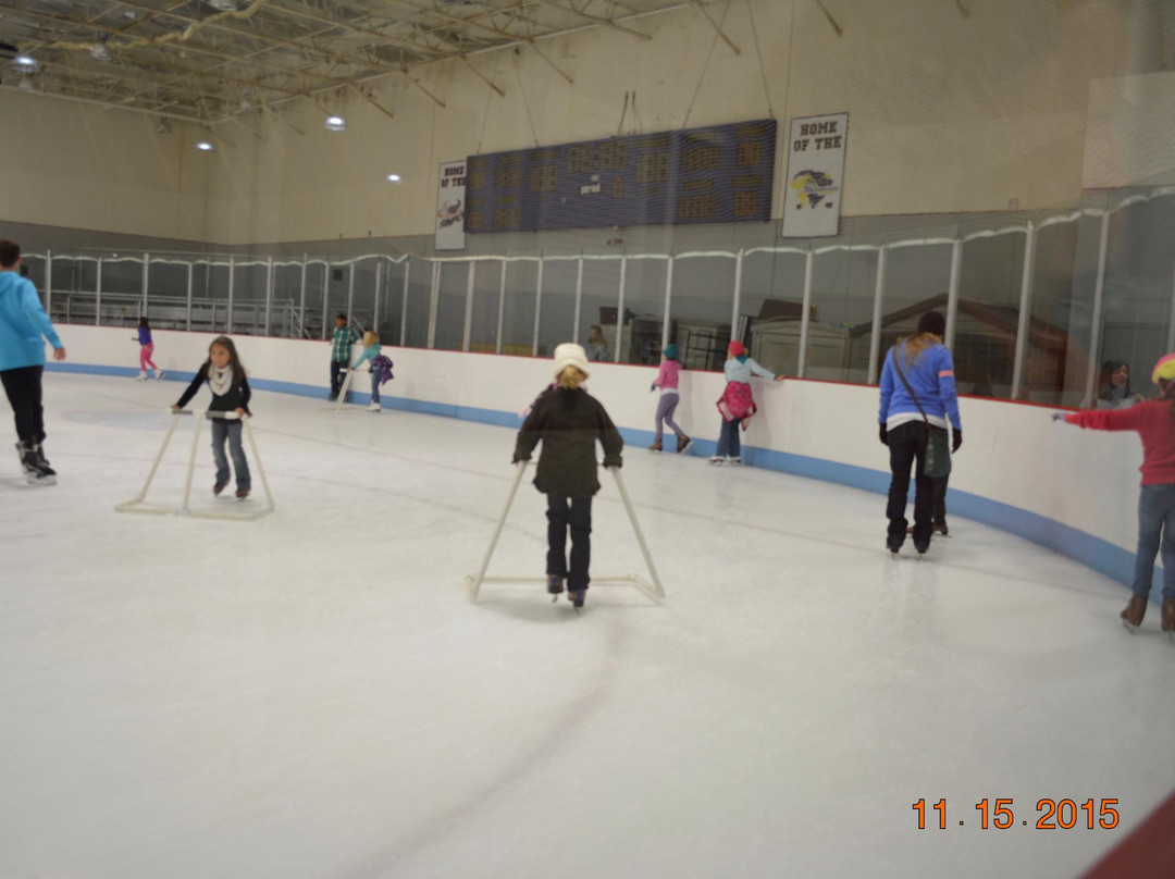 Carolina Ice Palace景点图片