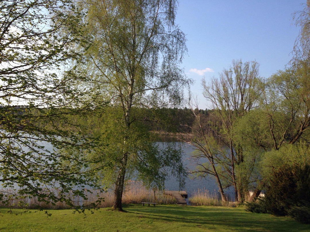 Bad Freienwalde旅游攻略图片