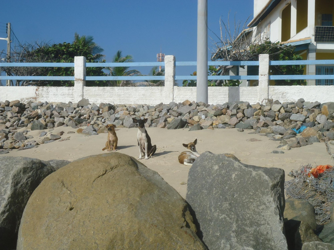 Caponga Beach-Caponga必去景点