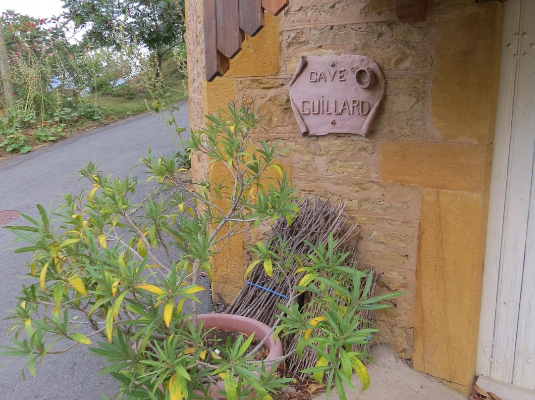 Domaine Guillard Roger et Nicole主图