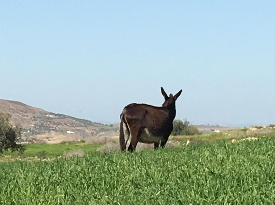 Ain Tounga-Tastur必去景点