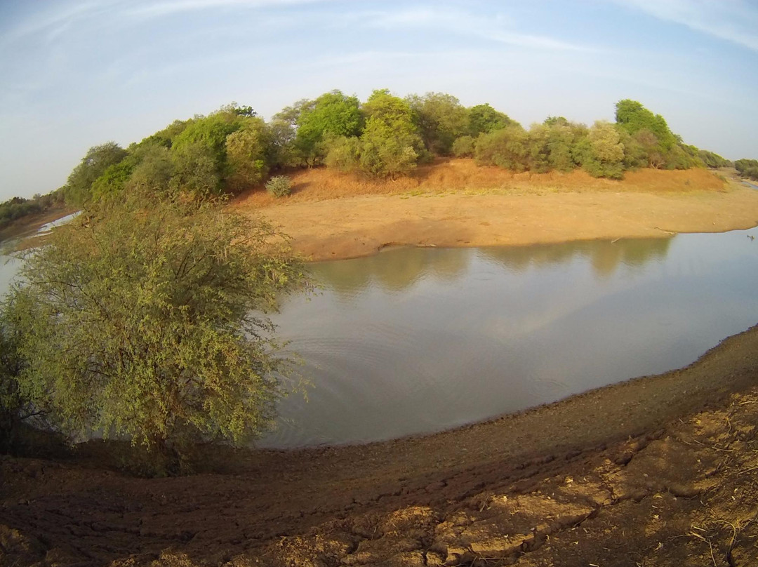 Guera Region旅游攻略图片