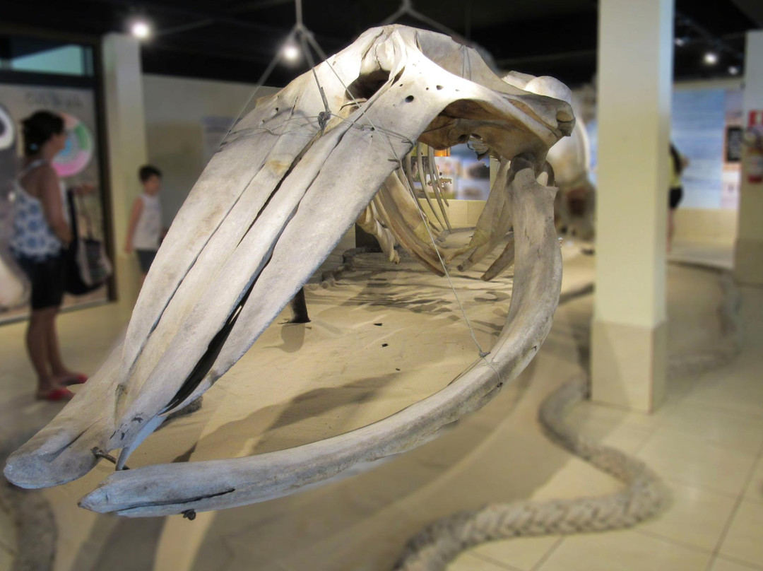 Museu de Ciências Naturais da Universidade Federal do Rio Grande do Sul – MUCIN-Imbe必去景点