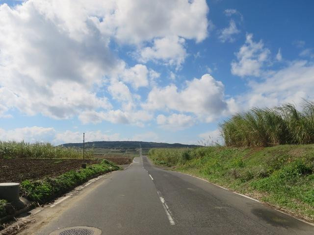 Straight Road景点图片