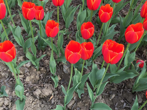 大宁灵石公园-上海市必去景点