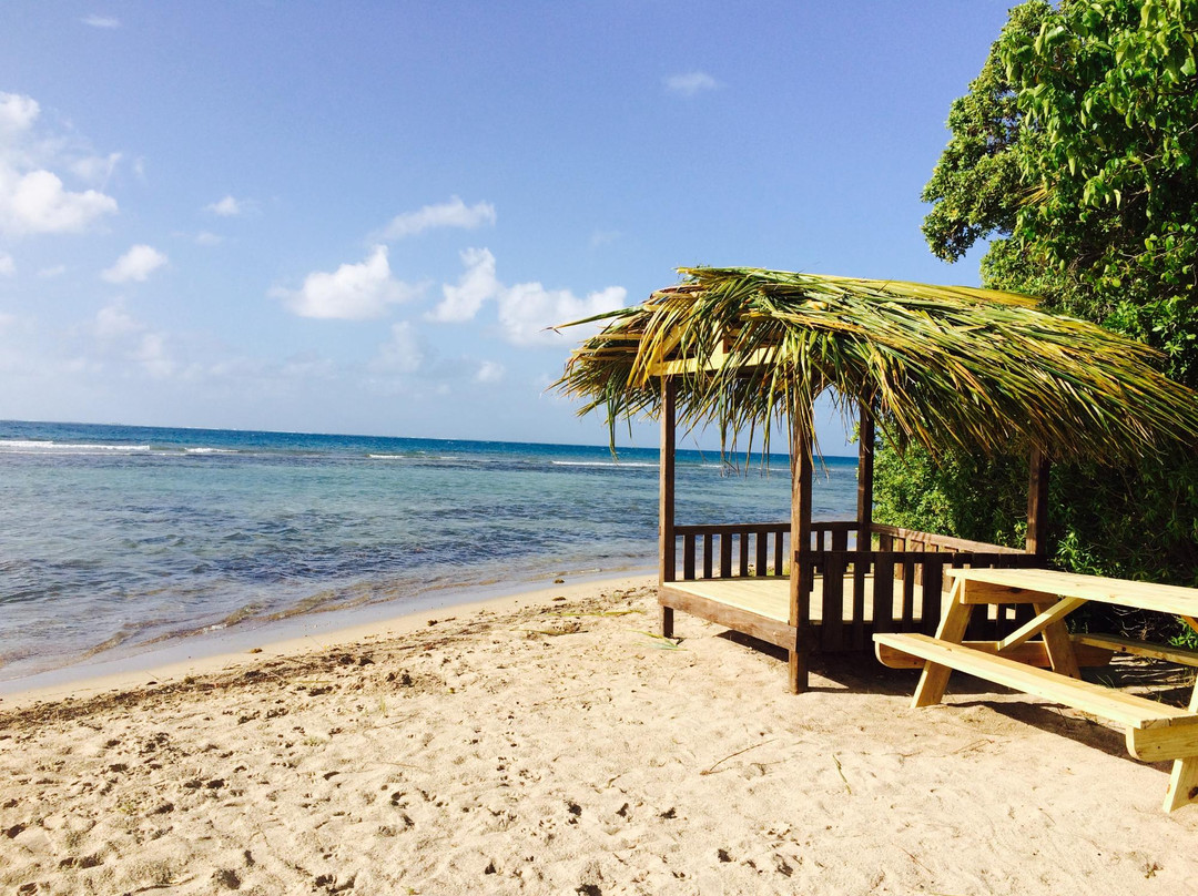 Cades Bay旅游攻略图片