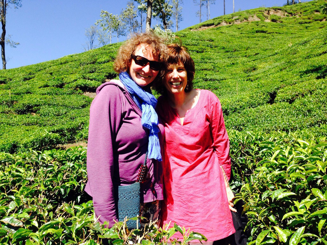 Ayurveda Treatment Centre-Cherai Beach必去景点