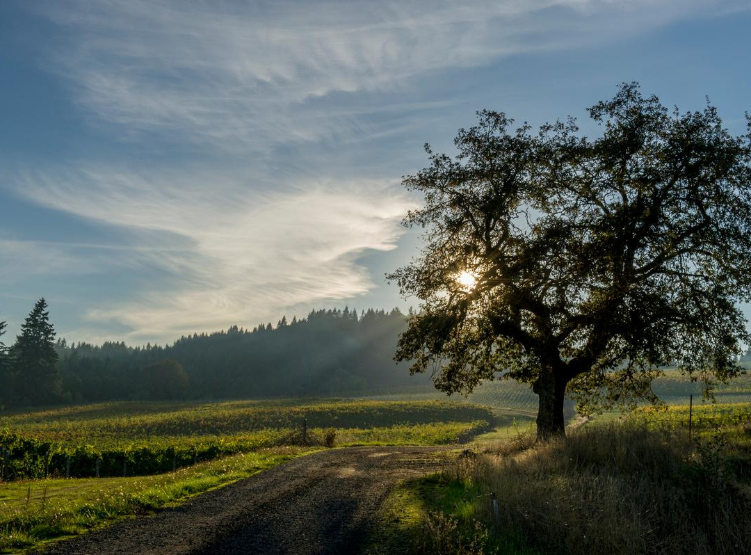 Benton-Lane Winery-Monroe必去景点