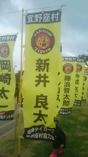 Kariyushi Hotels Ballpark Ginoza景点图片
