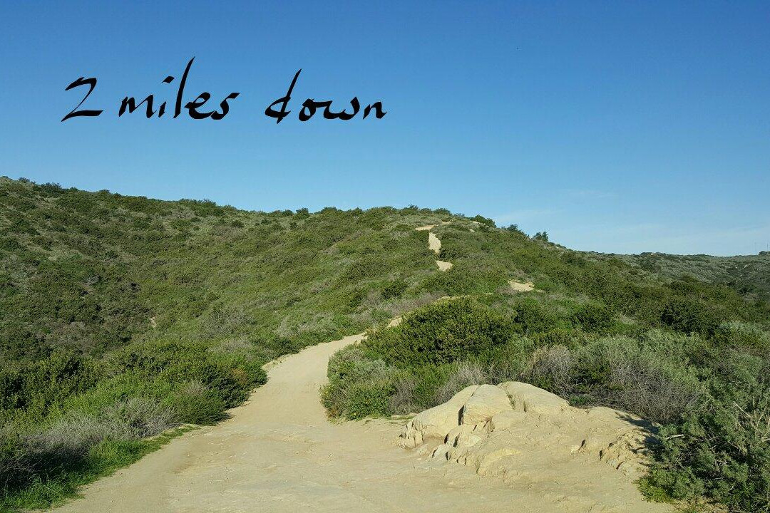 Alta Laguna Park-拉古纳海滩必去景点