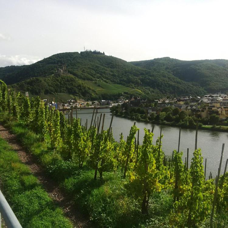 Hotel Zum Josefshof-浴室