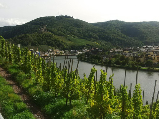 Hotel Zum Josefshof主图