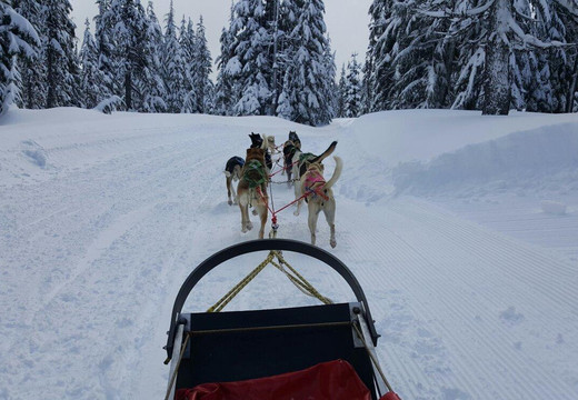 Oregon Trail of Dreams-本德必去景点