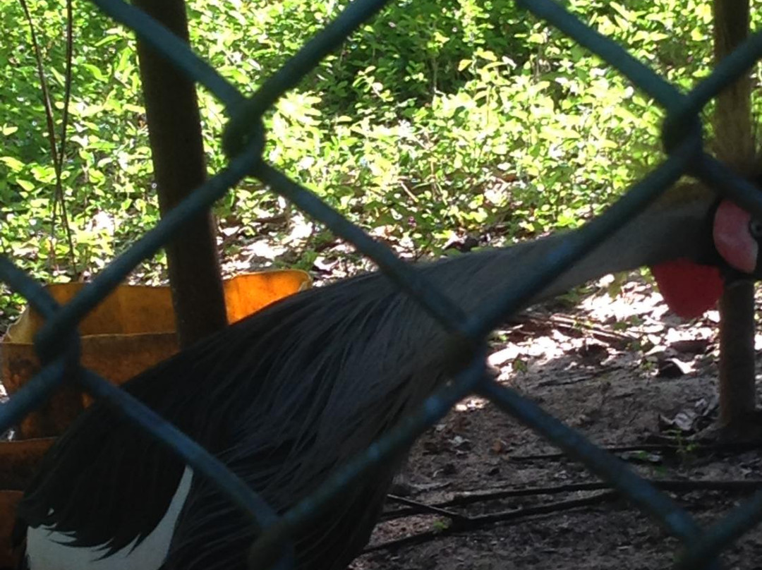 Zanzibar Land Animal Park (ZALA)-桑给巴尔岛必去景点