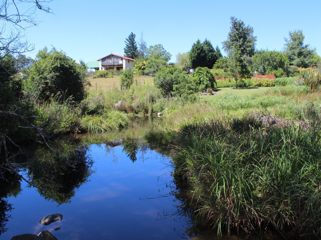 Hornbills Forest Getaway主图