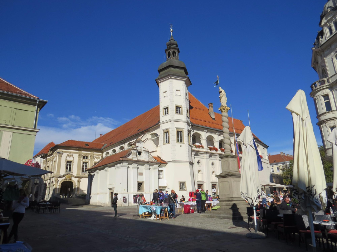 Regional Museum Maribor景点图片