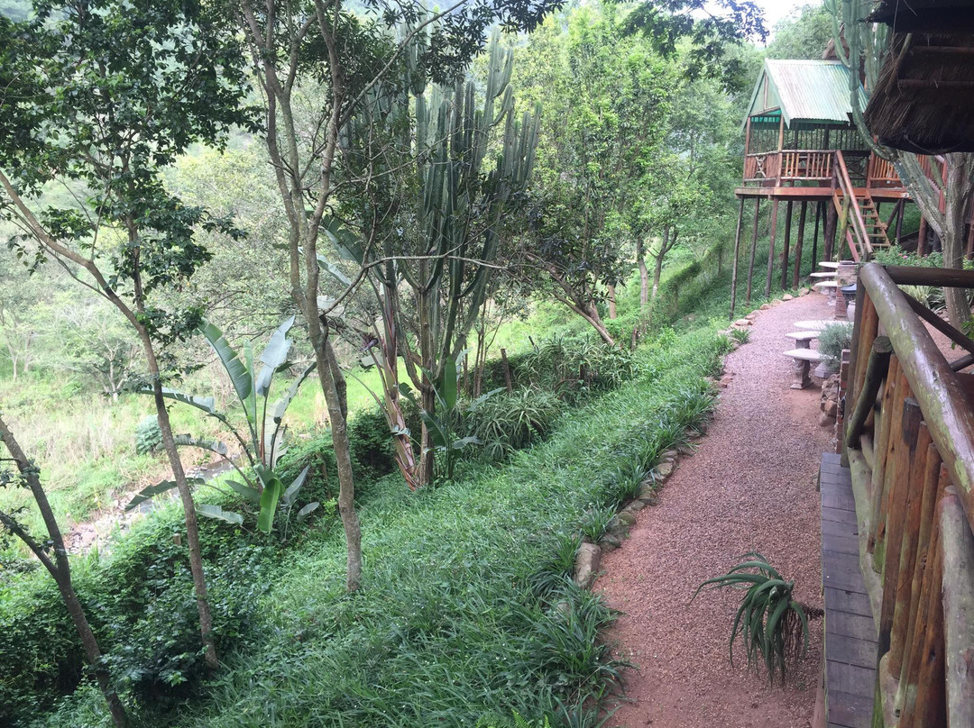 Treehouse River Lodge Spa景点图片