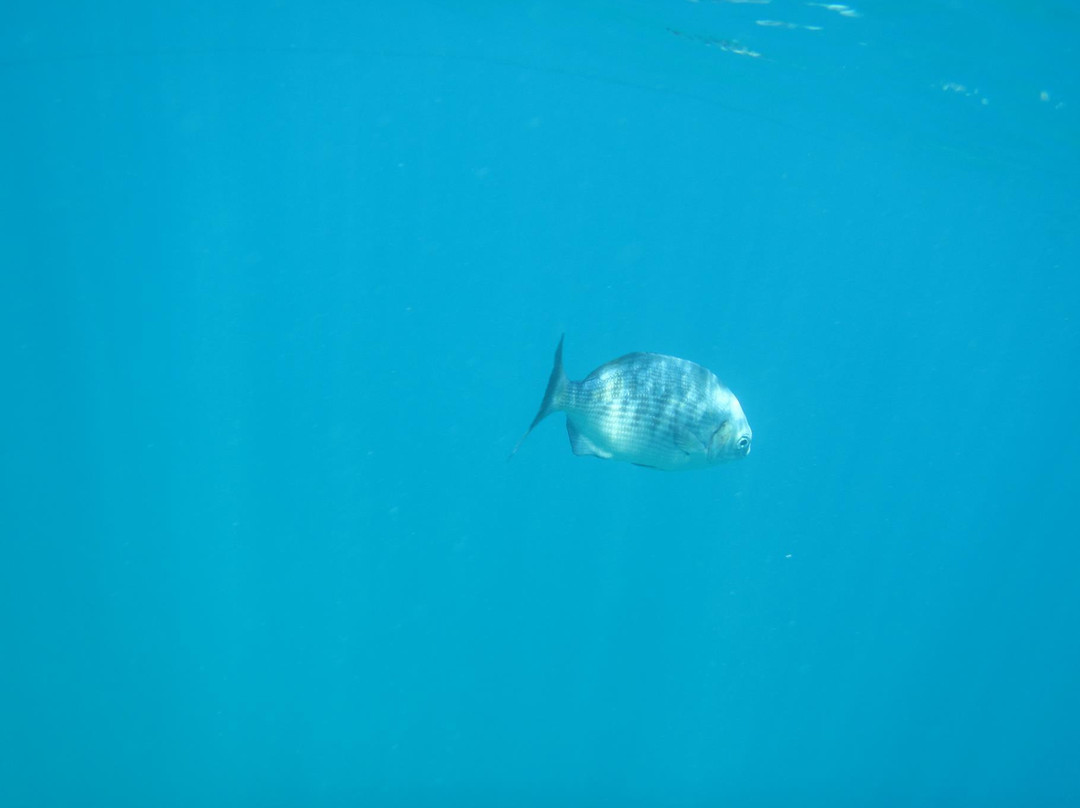 Punta Mita Charters-蓬塔米塔必去景点