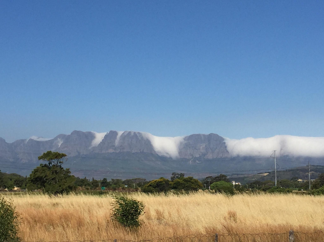 Hottentots Holland Nature Reserve-Grabouw必去景点