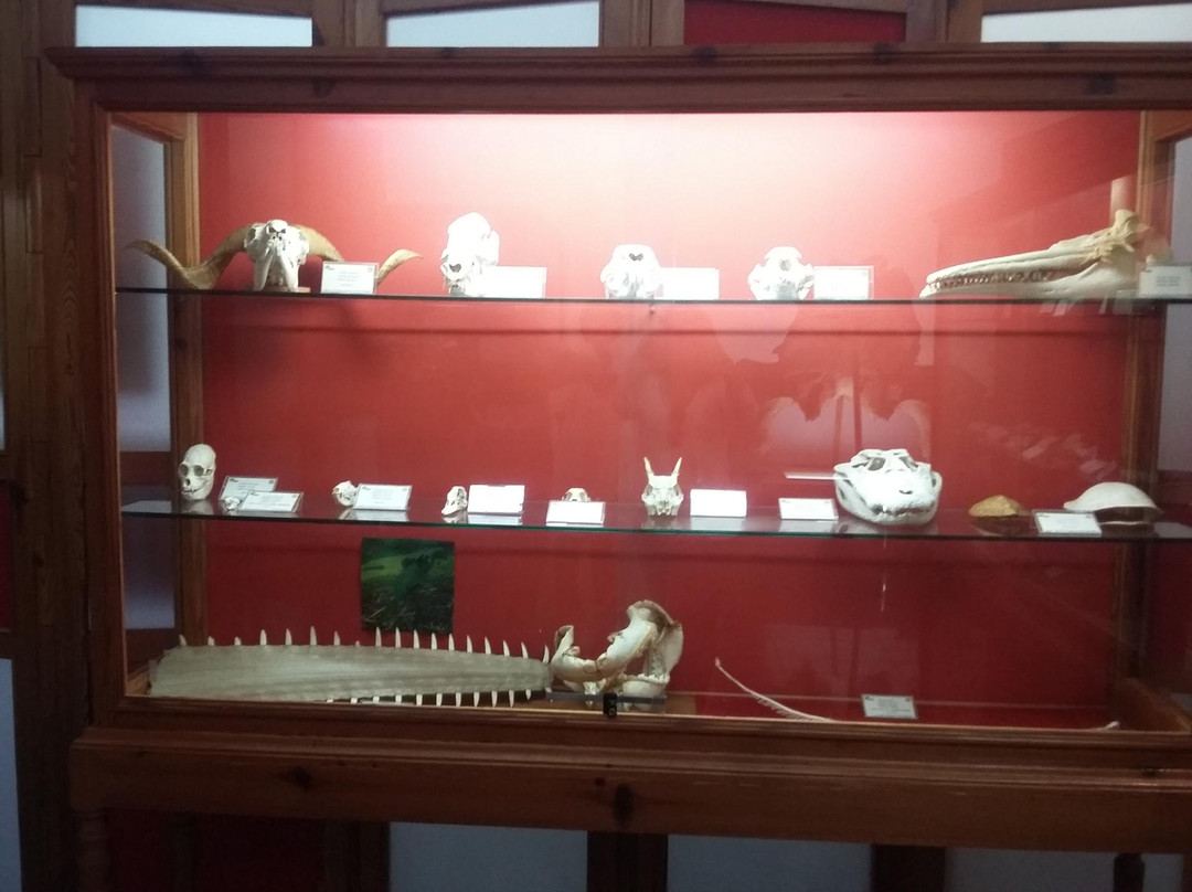 Natural History Academic Museum-Juiz de Fora必去景点