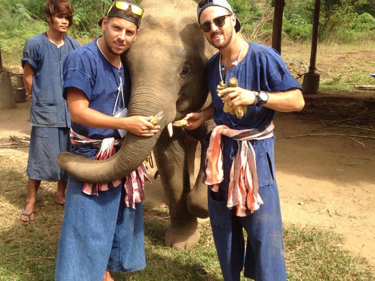 昌泰大象保护区-清迈必去景点