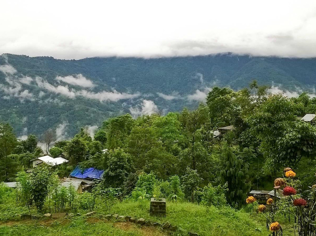 Travel Vista Homestays主图