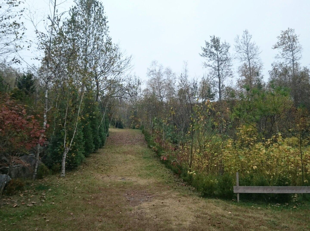 Art Museum Original Forest-横城郡必去景点