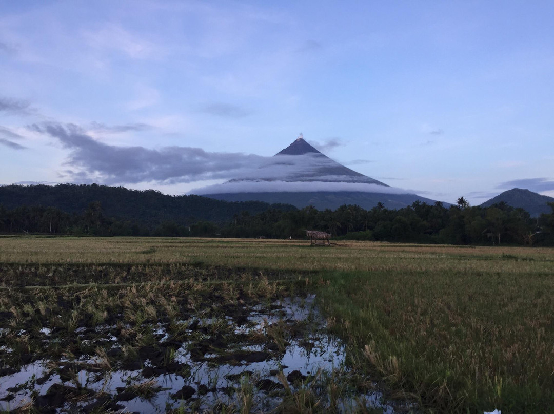 Mount Mayon-吕宋岛必去景点
