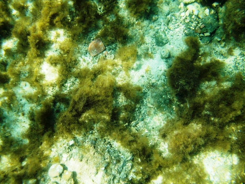 Fontana Amoroza-Lachi必去景点