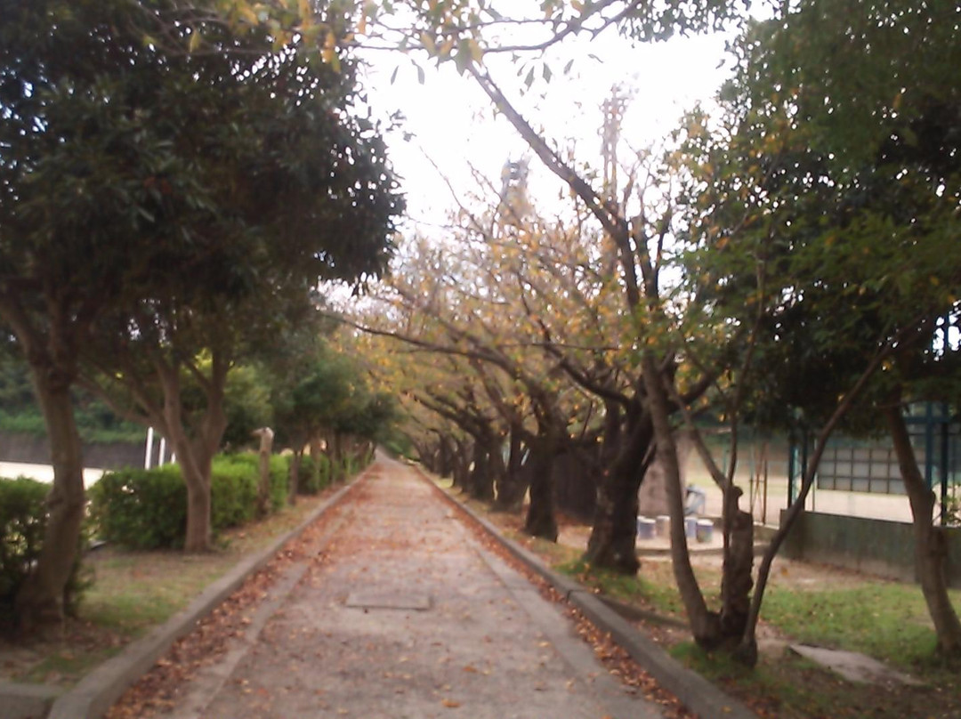 Oso Park-常滑市必去景点