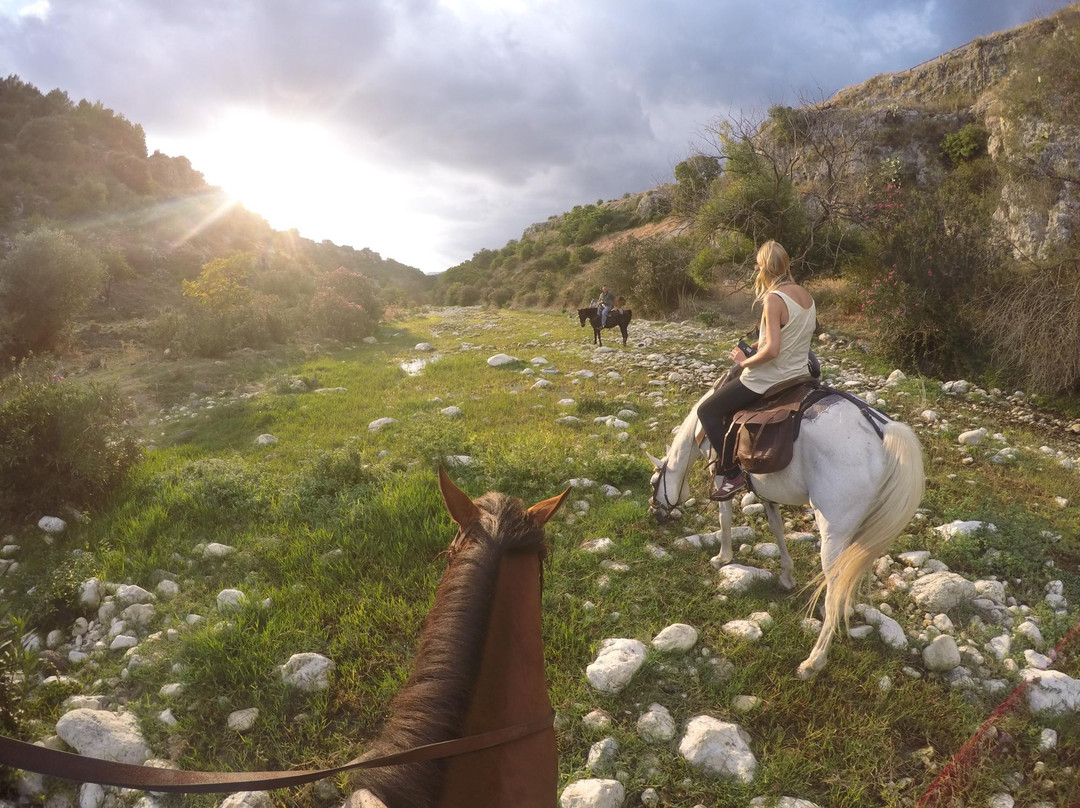 Horseback riding, Pantalica Ranch景点图片