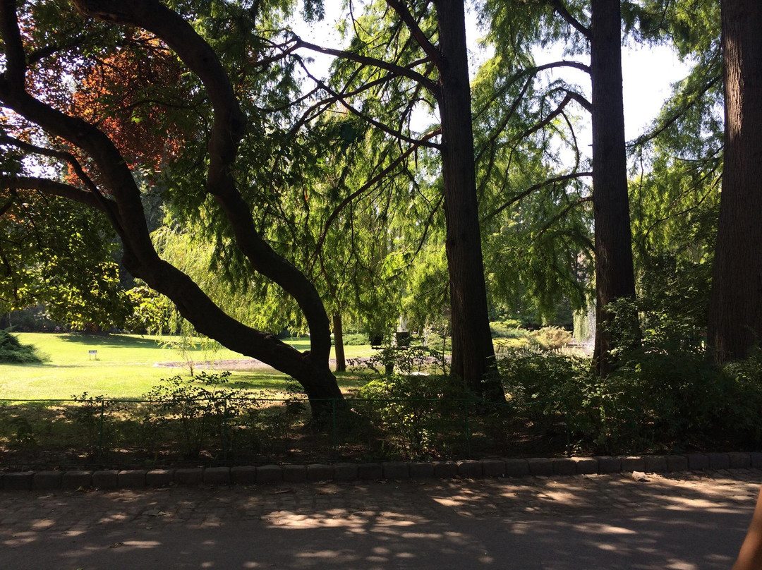 Danube Park-诺维萨德必去景点