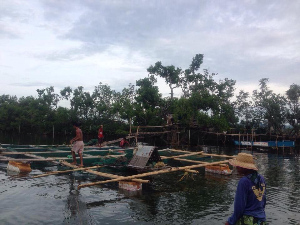 Culajao Mangrove Eco Park景点图片