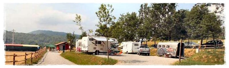Camping Horses