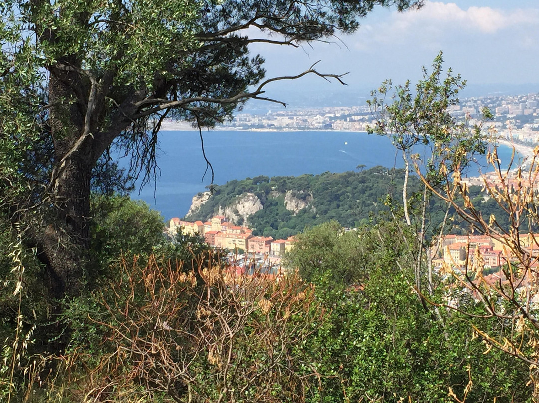 Parc forestier du Mont-Boron-尼斯必去景点