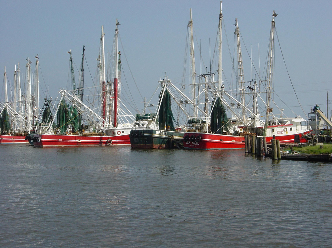 Terrebonne Parish-霍马必去景点